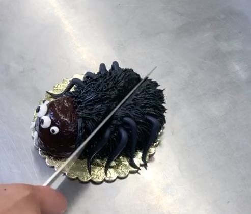 spider cookie