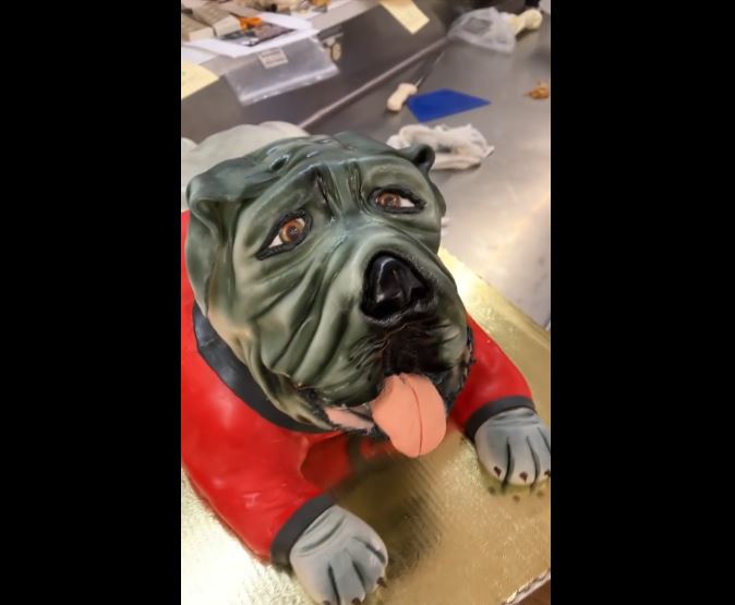 cake - dog