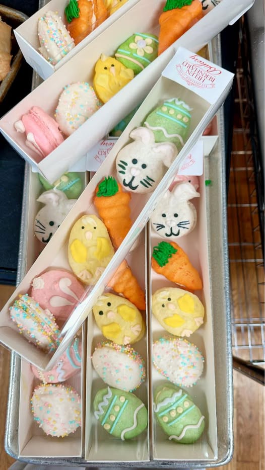 6 pack of Decorated macarons