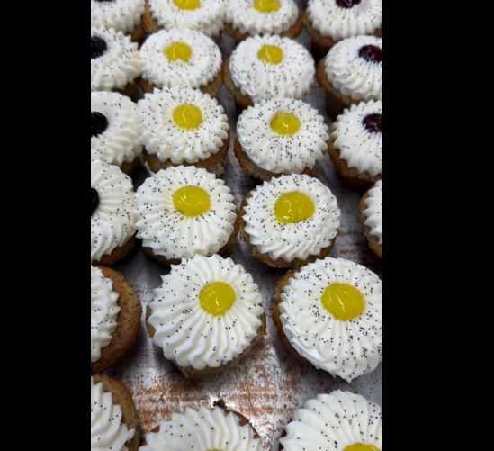 cupcakes