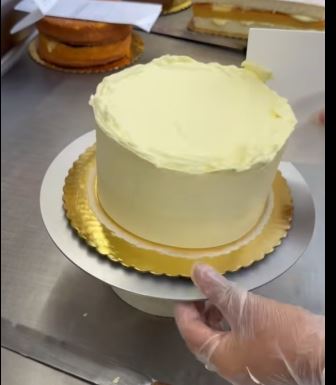 Sponge cake